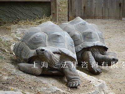 上海 法律咨询有限公司 上海 法律咨询有限公司